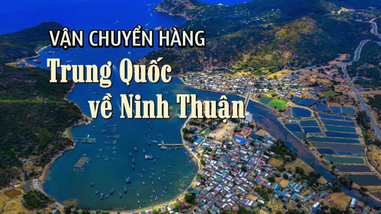 Công ty vận chuyển hàng Trung Quốc về Ninh Thuận uy tín