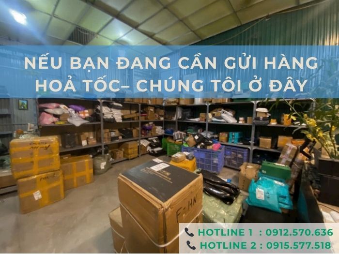 CTA cuối bài dịch vụ vận chuyển hàng hoả tốc Trung Quốc về Thanh Hóa, Amazing Logistics hỗ trợ nhanh chóng
