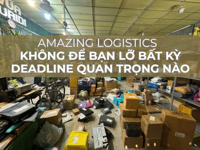 Kho thực tế Amazing Logistics Nam Định, nhân viên chăm chỉ, đảm bảo quy trình rõ ràng cho khách
