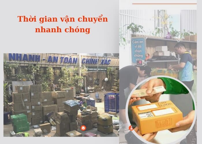 Thời gian gửi hàng từ Gia Lai đi Trung Quốc nhanh nhất